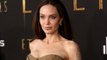 Angelina Jolie photographed with ‘bruises’ after alleged jet plane assault by Brad Pitt