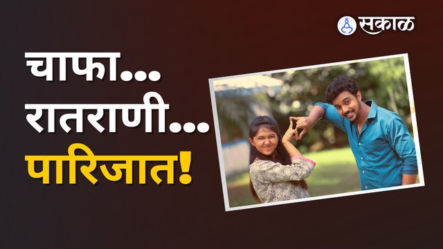 Virajas Kulkarni & Gautami deshpande: या जोडीची लव्हस्टोरी पुन्हा एकदा पाहायला मिळणार | Sakal Media