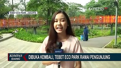 Tebet Eco Park Dibuka Kembali: Pengunjung Wajib Daftar Lewat Aplikasi Jaki!
