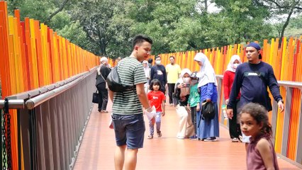 Tebet Eco Park Kembali Dibuka Untuk Masyarakat Umum Dengan Fasilitas Baru