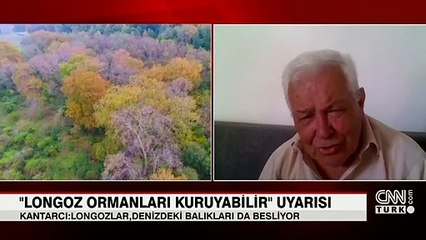 "Longoz ormanları kuruyabilir" uyarısı