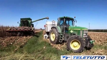 Video News - AGRICOLTURA, TEMPESTA PERFETTA