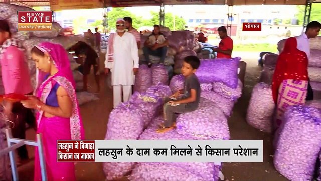 Bhopal Garlic Price : Garlic की बंपर पैदावार से MP में 1 रुपये प्रति किलो बिक रहा है Garlic
