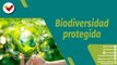 Punto Verde | La protección de la biodiversidad y su desarrollo sostenible