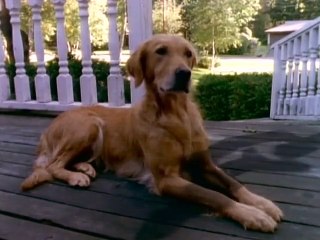 Gänsehaut - Die Stunde der Geister Staffel 2 Folge 16 HD Deutsch