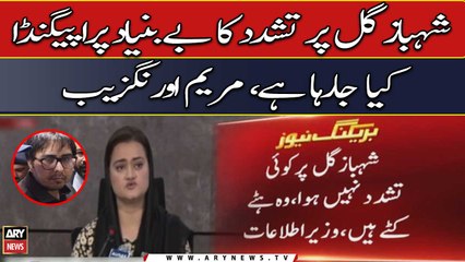 Shahbaz Gill: Maryam Aurangzeb says accusations of torture are false