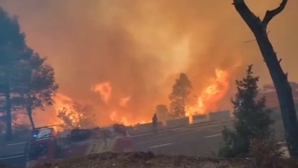 Bejís se enfrenta esta tarde a "vientos erráticos" que pueden reactivar el fuego