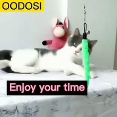 Cat Toys_OODOSI Cat Toys Wand | Urdr and Hindi 2022