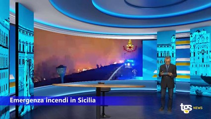 Il Tg Flash edizione del 20 agosto - ore 18