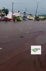 Niño 'sacrifica' tortillas para salvar sus chanclas en plena inundación; se vuelve viral