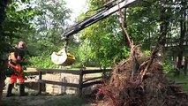 Record rainfall drenches western Austria as firefighters tackle torrential flooding