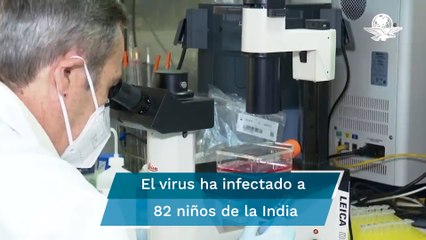 La “gripe del tomate”, el virus contagioso detectado en la India