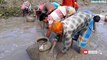 Unique Catching Fish By Hand  Traditional Fishing People Catching Fish in The Village Muddy Water