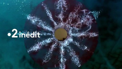 Astrid et Raphaëlle - saison 3 Bande-annonce VF