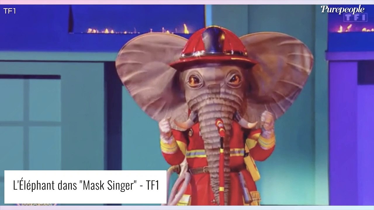 Mask Singer 4 - L'Eléphant pompier : Tous les indices dévoilés