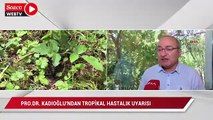 Prof. Dr. Kadıoğlu: Tropikal hastalıklar için polikliniklerin kurulması gerekecek