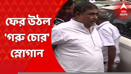 Anubrata Mondal: অনুব্রত মণ্ডলকে উদ্দেশ্য করে 'গরু চোর' স্লোগান কংগ্রেসের । Bangla News