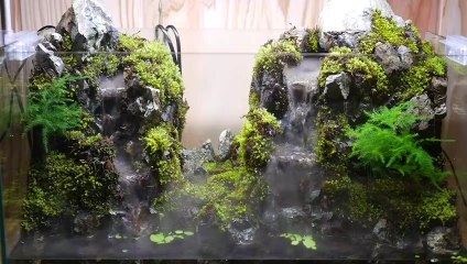 Making an Aquaterrarium with two flowing waterfalls