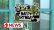 Zoo Negara celebrates giant panda couple Xing Xing and Liang Liang's 16th birthday