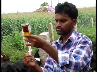 COMMERCIAL  SHEEP AND  GOAT  FARM (500 Animals) TELANGANA,_INDIA