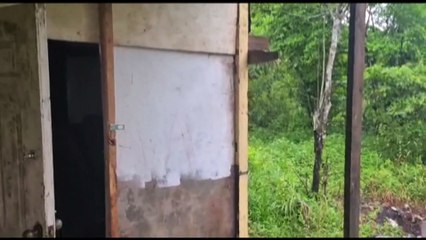 Seven Year Old Found Unresponsive