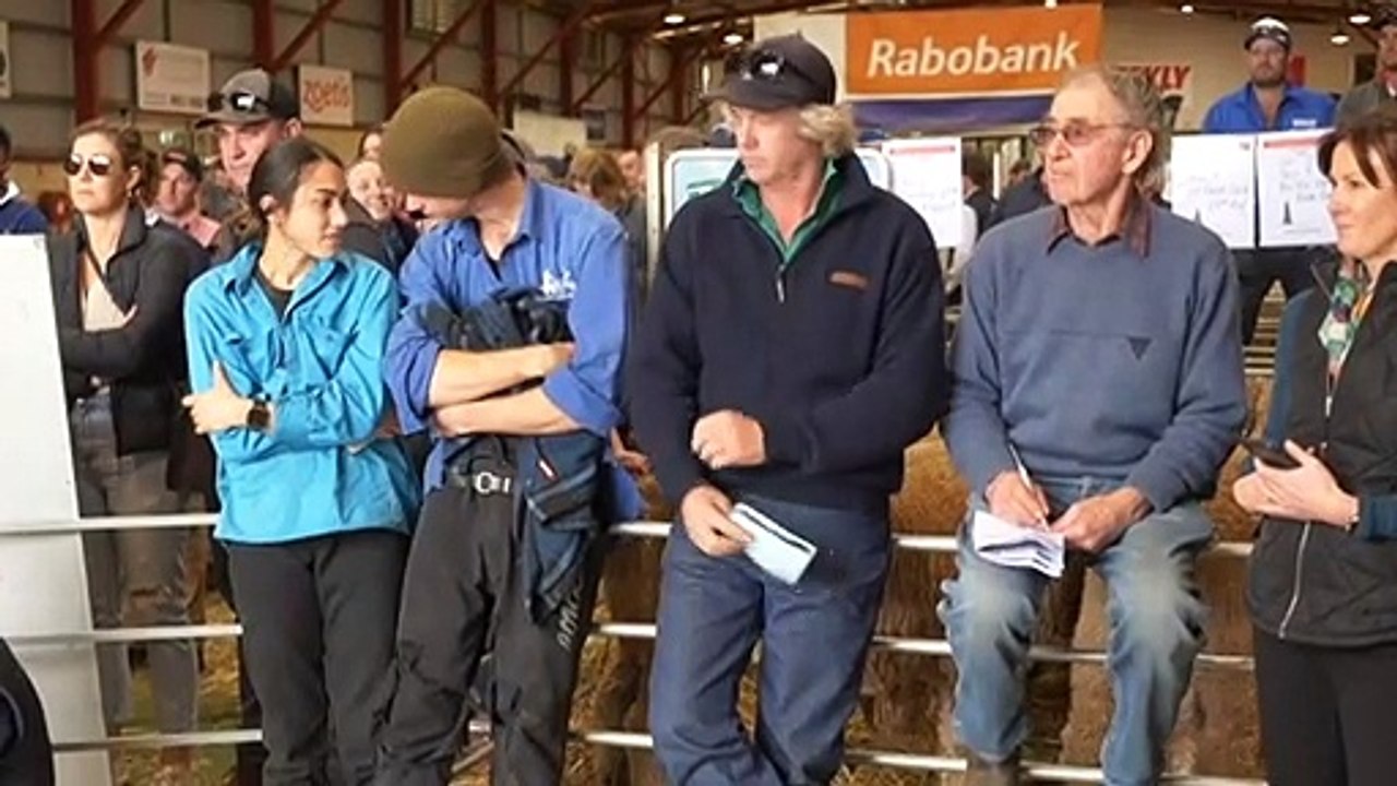 Western Australia dog auction attracts big buyers