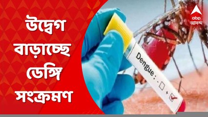 Dengue: কলকাতায় উদ্বেগ বাড়াচ্ছে ডেঙ্গি, সচেতনতাবার্তা মেয়রের। Bangla News