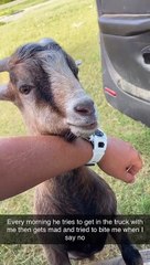 Marvin Always Wants to Tag Along