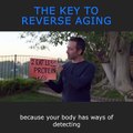 The Key to Anti-aging Lies With This? 