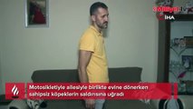 Evine giderken köpeklerin saldırısına uğradı