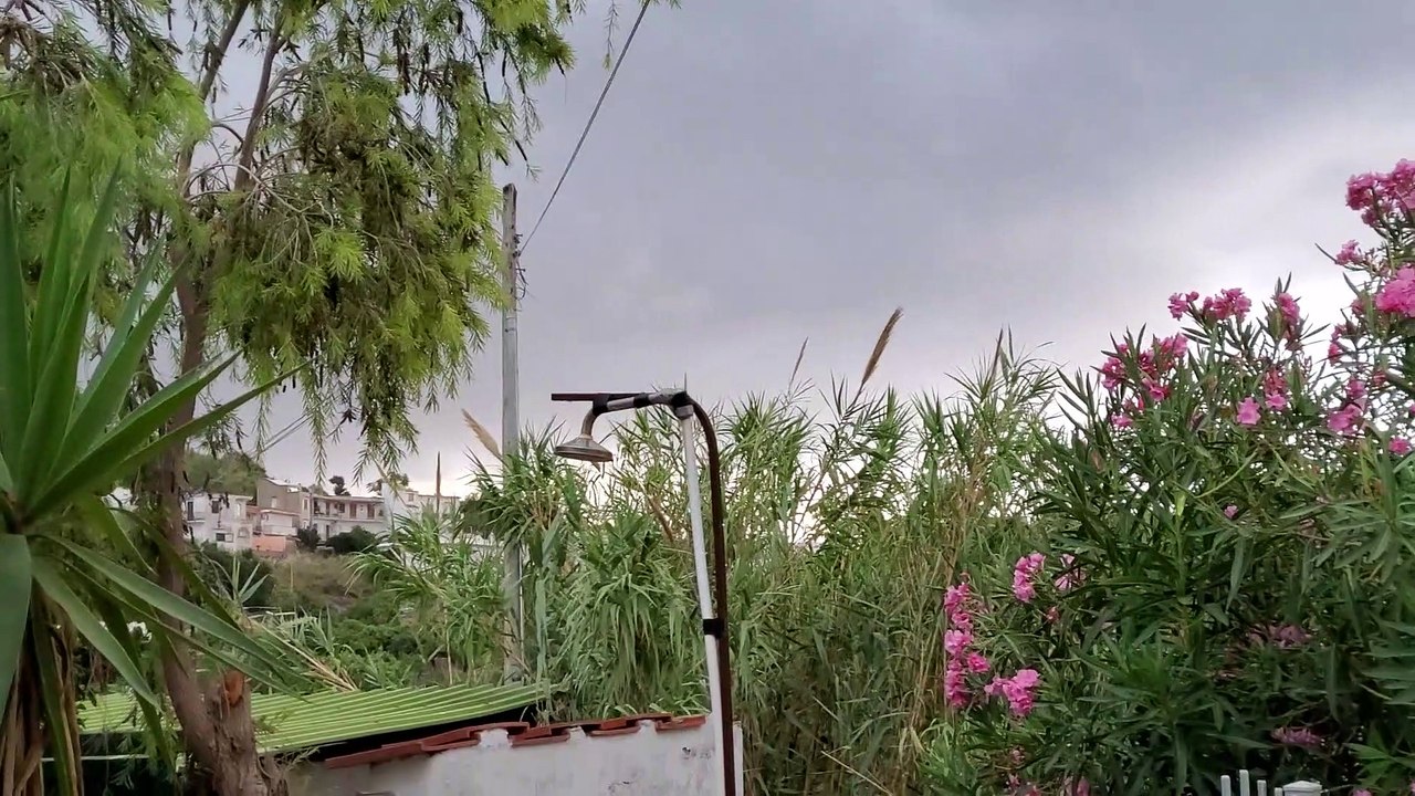 Ischia bufera del 12 agosto 2022