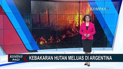 Download Video: Kebakaran Hutan di Argentina Makin Meluas, Api Hanguskan 100.000 Hektar Lahan di Delta Parana