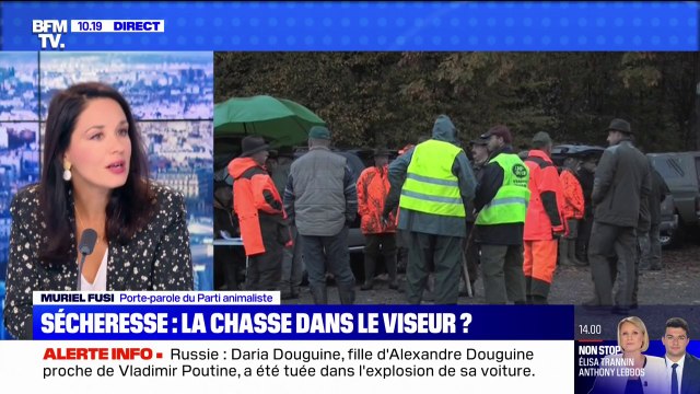 Le parti animaliste réclame un moratoire sur la chasse qui exerce une pression supplémentaire sur des animaux déjà affaiblis par la canicule