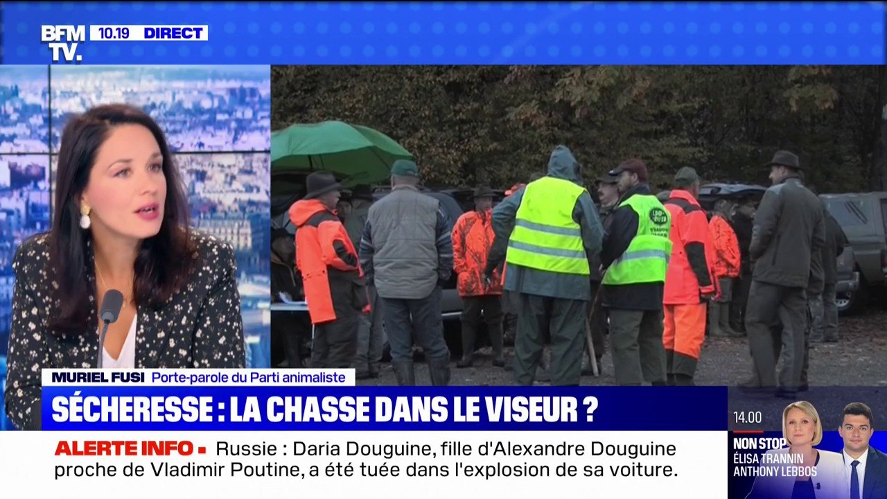 Le parti animaliste réclame "un moratoire sur l...