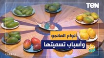 منها هايدي وياسمين ومبروكة.. تعرف على أنواع المانجو في مصر وحكاية كل إسم لها