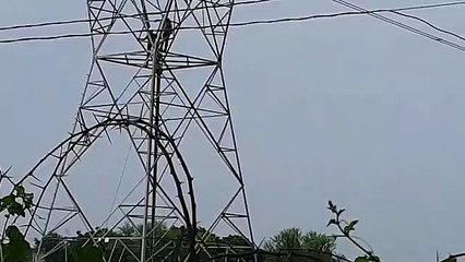 घरवालों ने डाटा तो हाईटेंशन लाइन  के खम्भे चढ़ा वि​क्षिप्त युवक