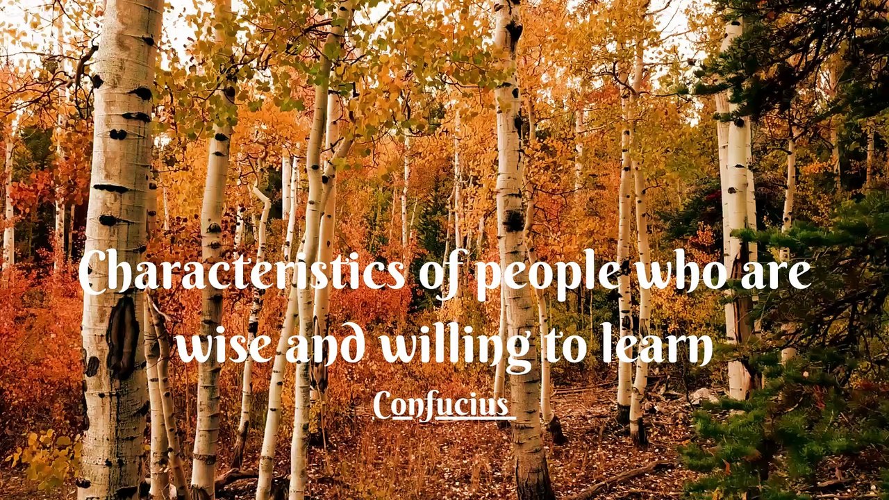 Characteristics of people who are wise and willing to learn