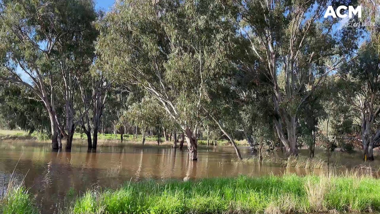 Water west of Forbes