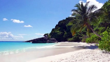 Wave Sounds / Dalga Sesleri