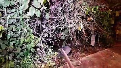 Carro passa direto pelo fim da Rua Cuiabá, capota e para dentro do Ecopark Oeste