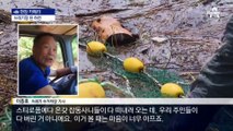 [현장 카메라]폭우가 만든 쓰레기섬…물이 썩어간다