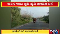 ಗಡಿ ಜಿಲ್ಲೆಯಲ್ಲಿ ಮುಂದುವರಿದ ಆನೆಗಳ ಉಪಟಳ | Elephant | Public TV