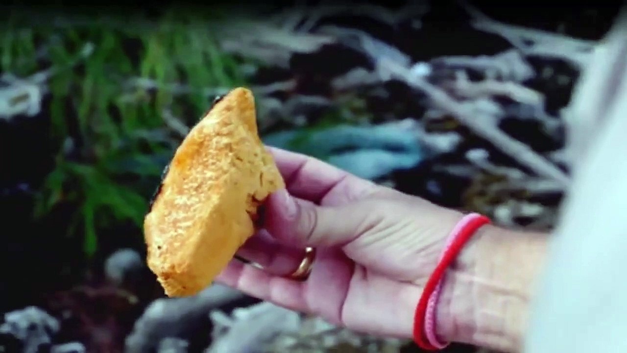 Spurlos verschwunden - Ungelöste Mysterien Staffel 1 Folge 1 HD Deutsch