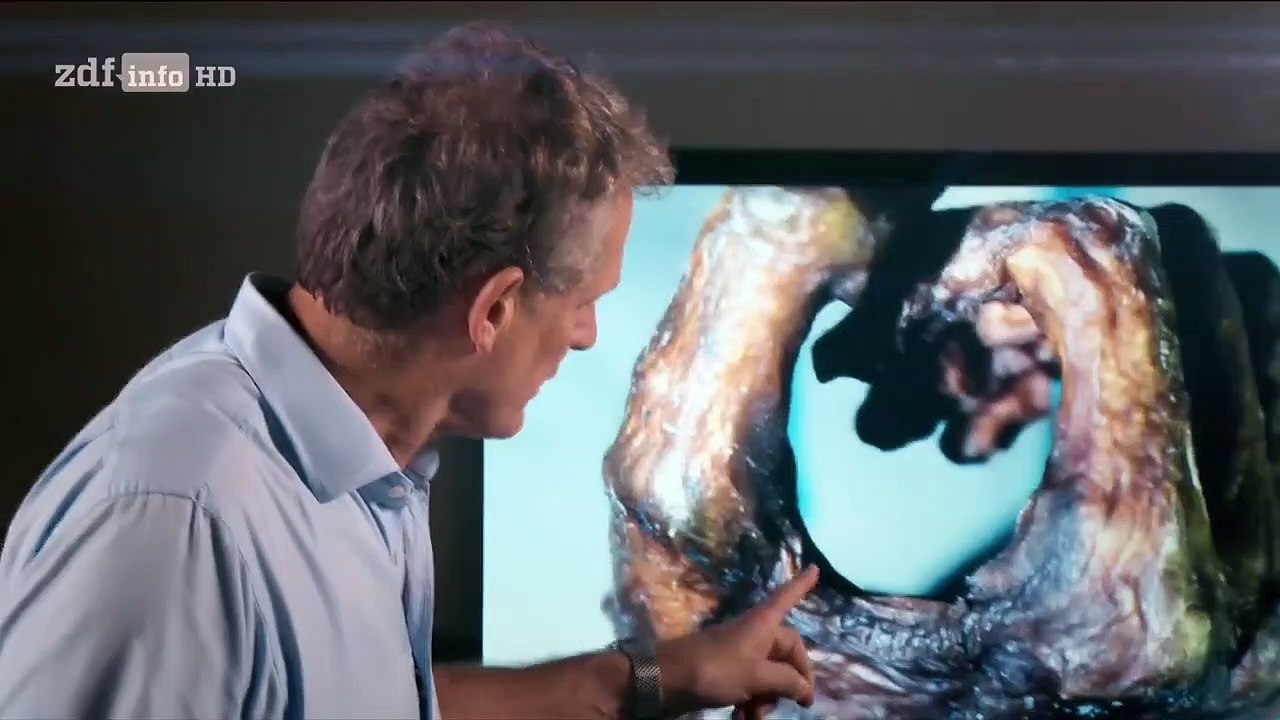 Rätselhafte Tote Staffel 1 Folge 1 HD Deutsch