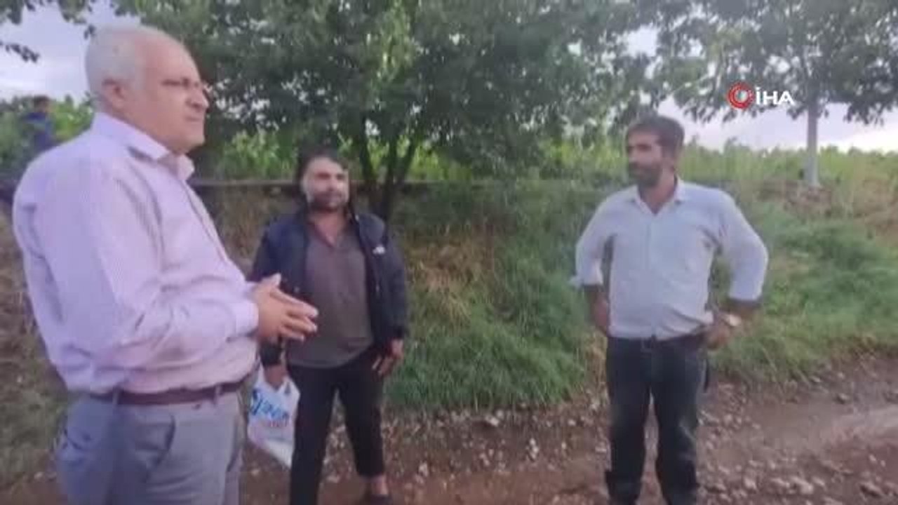 Aniden bastıran dolu yağışı tütün tarlalarına zarar verdi