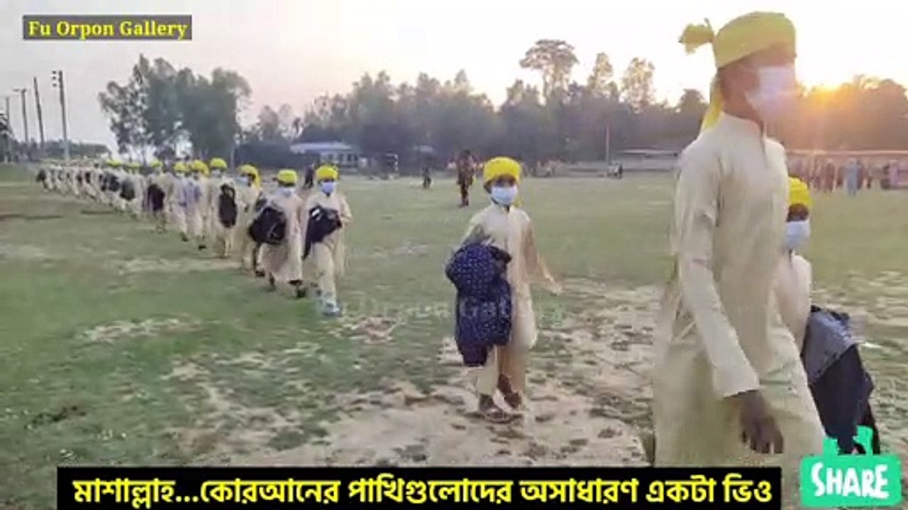 মাশাল্লাহ...দেখতে কতই না সুন্দর একঝাঁক কোরআনের পাখিগুলা। রাজঁহাসগুলো ও তাদের কে দেখে