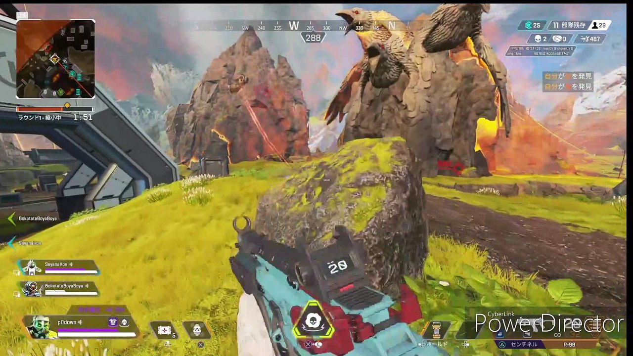 Sniper rifles and submachine guns