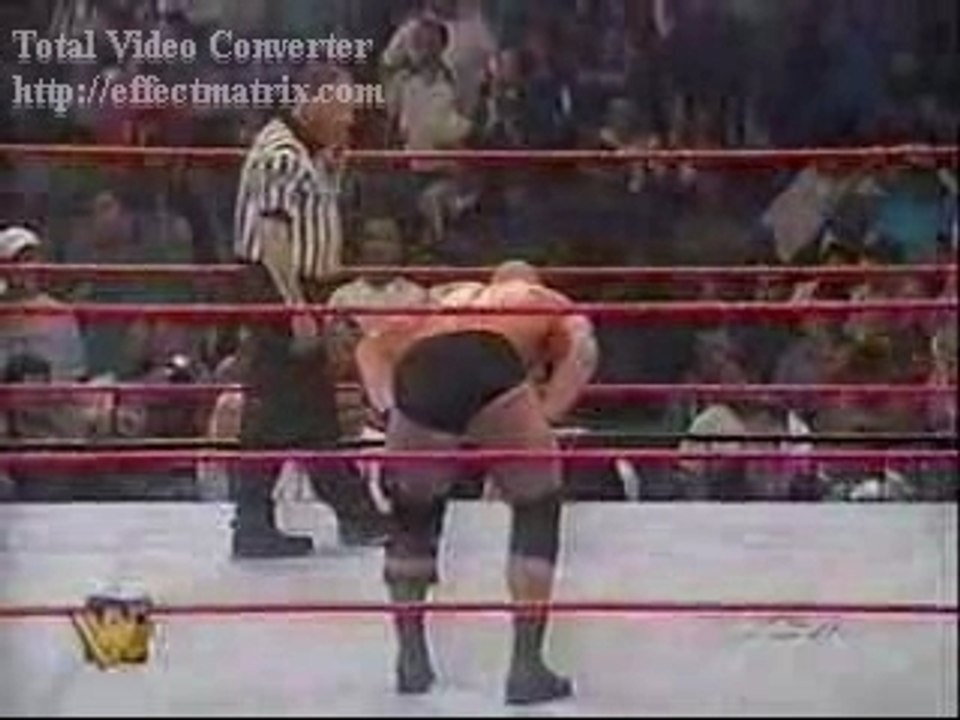 Stone Cold & Dude Love vs Owen Hart &  Bull Dog