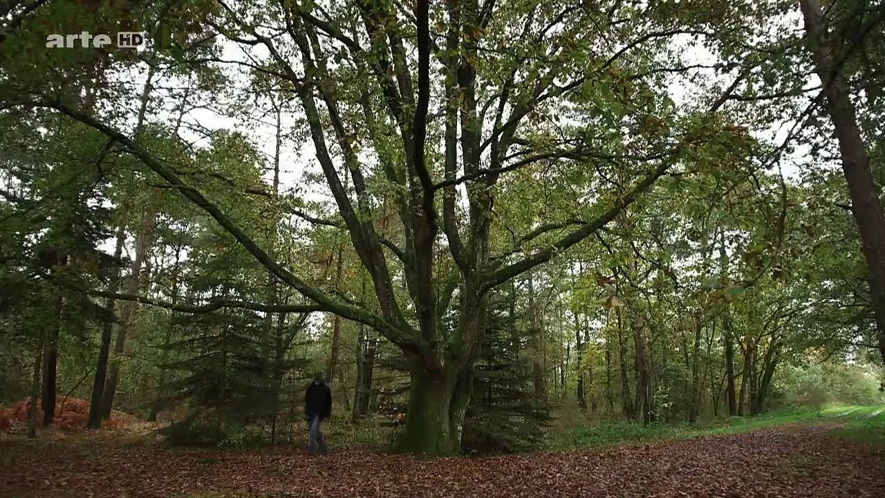 Auf den Spuren der Hobbits Staffel 1 Folge 3 HD Deutsch