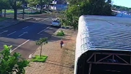 Moradora do Interlagos pede ajuda para localizar a cachorrinha Lilica